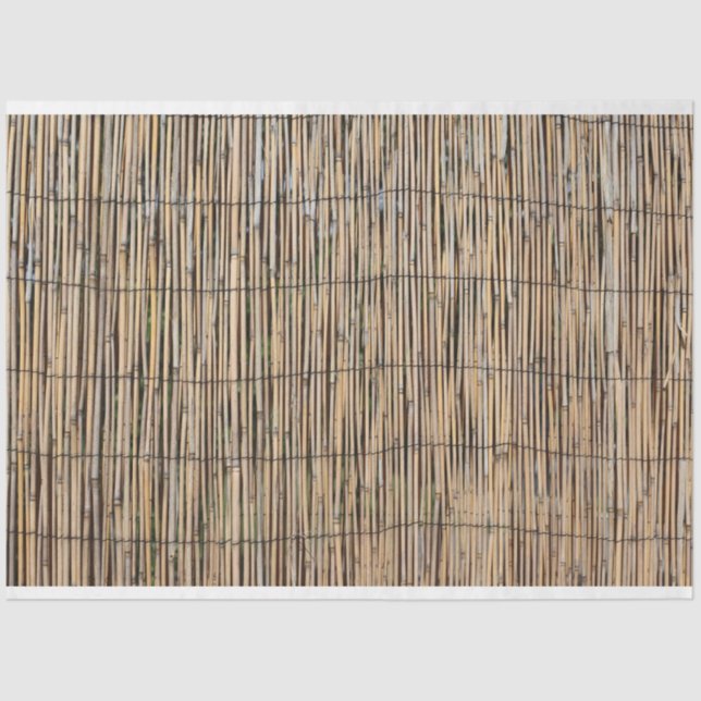 Papier Mousseline Bambou (Recto)