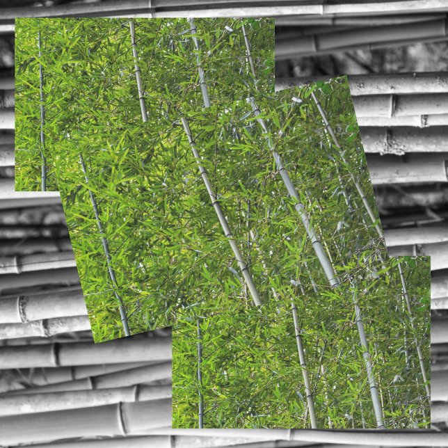 Papier Mousseline Bambou vert arbres Grove Photographie naturelle (Créateur téléchargé)