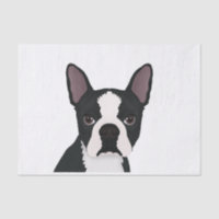 bande dessinée de terrier de Boston