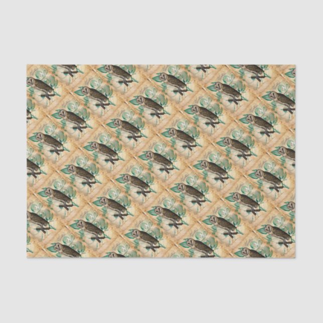 Papier Mousseline Barn Owl Vintage (Recto)