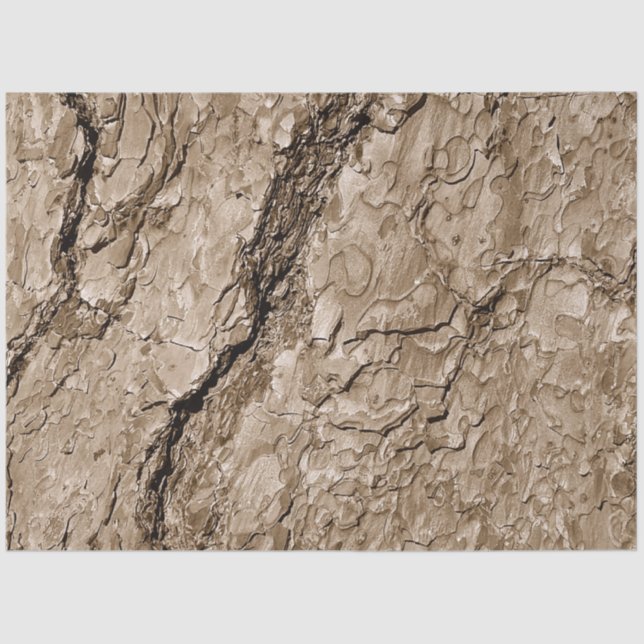 Papier Mousseline Barre d'arbre B (Recto)