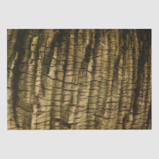 Papier Mousseline Barre de palmiers