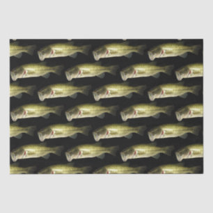 Papier Mousseline Basse Poisson Masculine Motif Mens