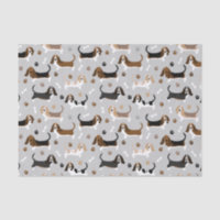 Basset Hound Chig Bones and Paws