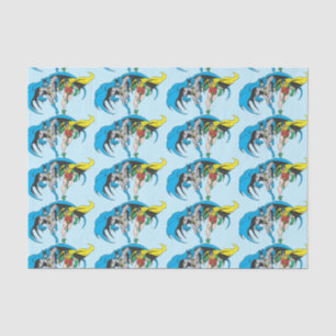 Papier Mousseline Batman & Robin