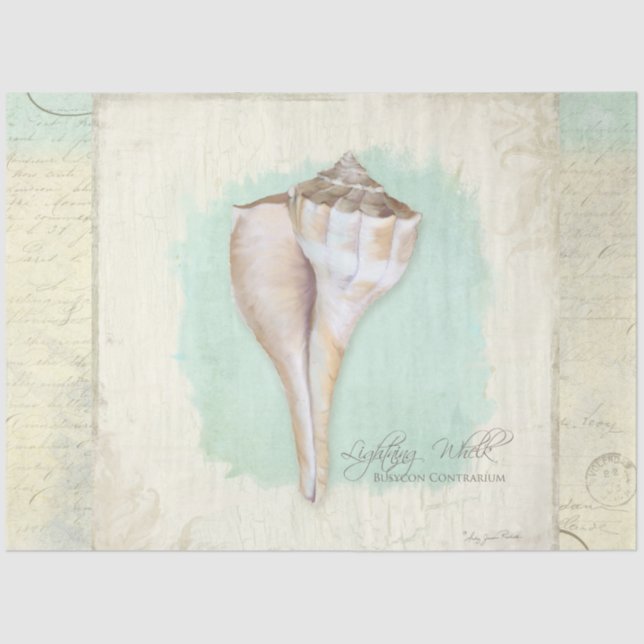 Papier Mousseline Beach Whelk Shell Aqua Blue Watercolor Decoupage (Recto)