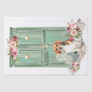 Papier Mousseline Beagle à la porte