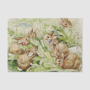 Papier Mousseline Beatrix Potter Tale des lapins Flopsy