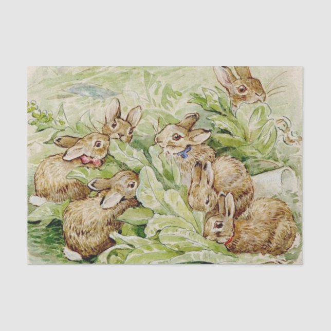 Papier Mousseline Beatrix Potter Tale des lapins Flopsy (Recto)