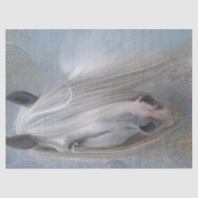 Papier Mousseline Beau Cheval (Recto)