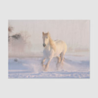 Beau Cheval Blanc Galloping dans la neige