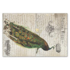 Beau collage d'éphémères de paon