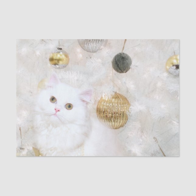 Papier Mousseline Beau Noël blanc de minou (Recto)