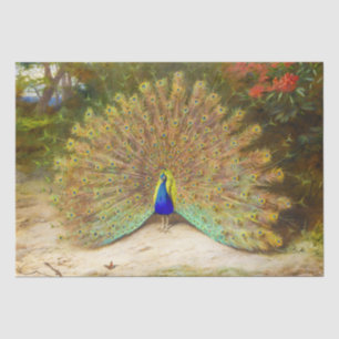 Papier Mousseline Beau Oiseau Colorful Peacock peinture Vintage