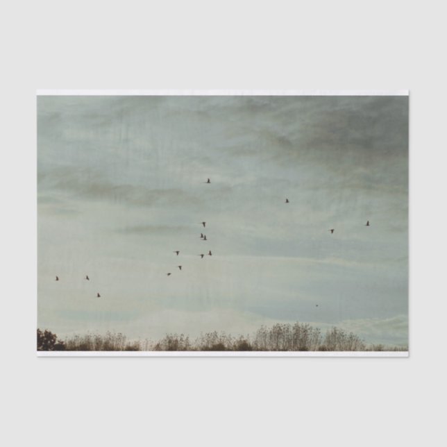 Papier Mousseline Beau papier Tissu pittoresque (Recto)