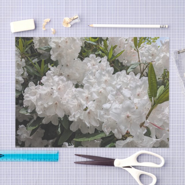 Papier Mousseline Beau Rhododendron blanc fleurit Floral (Artisanat)