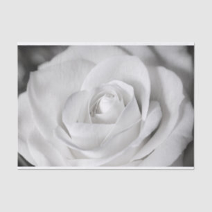 Papier Mousseline Beau rose noir et blanc
