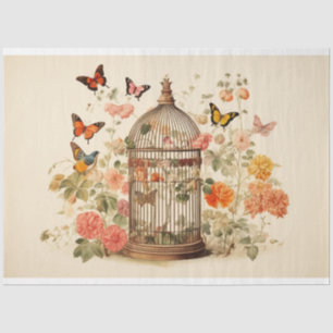 Papier Mousseline Beautés débordantes : Découpage de cage d'oiseaux