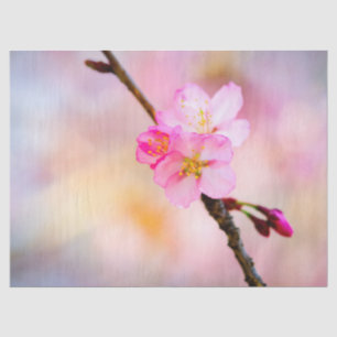 Papier Mousseline Beautiful Sakura Cherry
