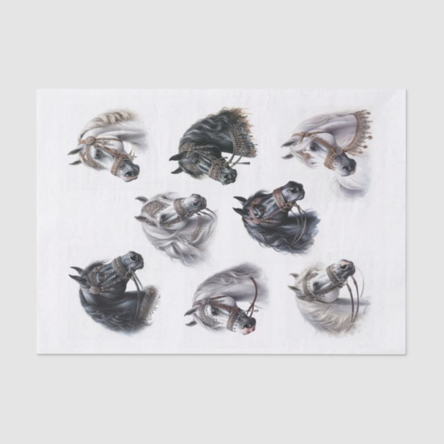 Papier Mousseline Beaux chevaux arabes avec Bridles fantaisistes (Recto)