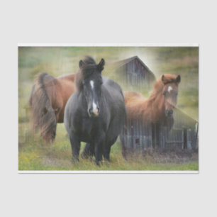 Papier Mousseline Beaux chevaux et grange rustique