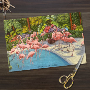 Papier Mousseline Beaux Flamants roses Vintages en Floride