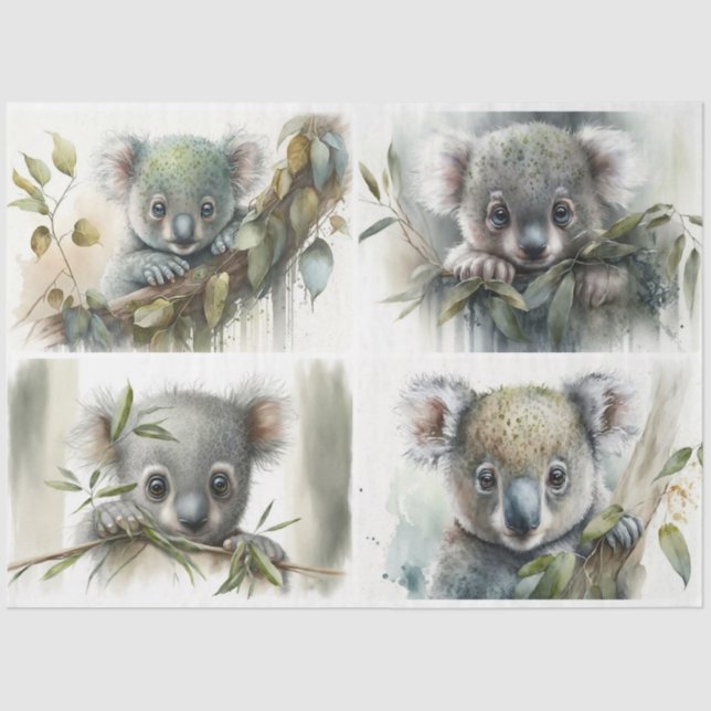 Papier Mousseline bébé Koalas (Recto)