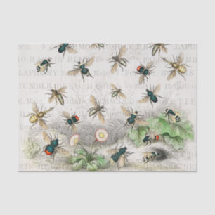 Papier Mousseline Bee Honey Travailleur Queen Bees Antique