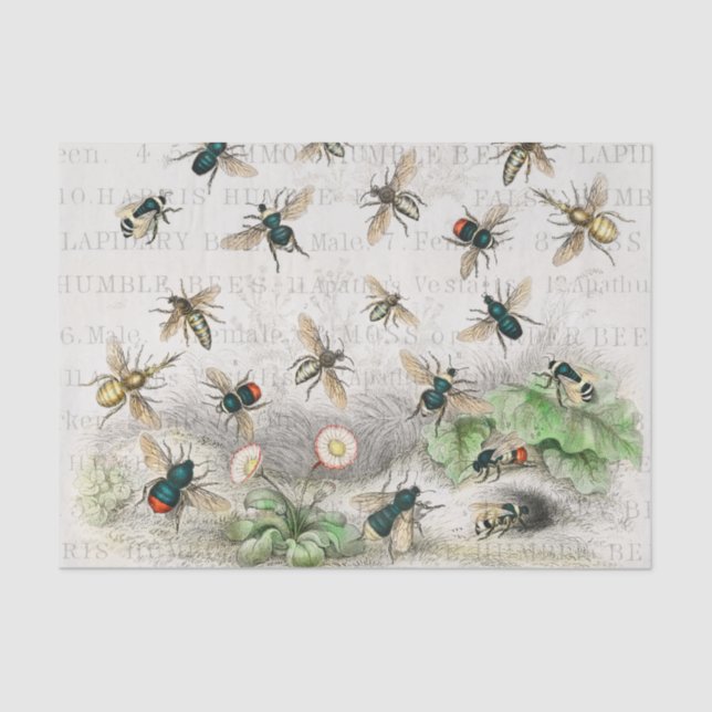 Papier Mousseline Bee Honey Travailleur Queen Bees Antique (Recto)