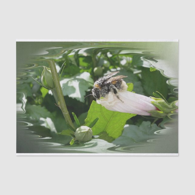Papier Mousseline Bee in summer (Recto)