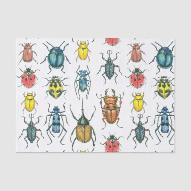 Papier Mousseline Beetles (Recto)