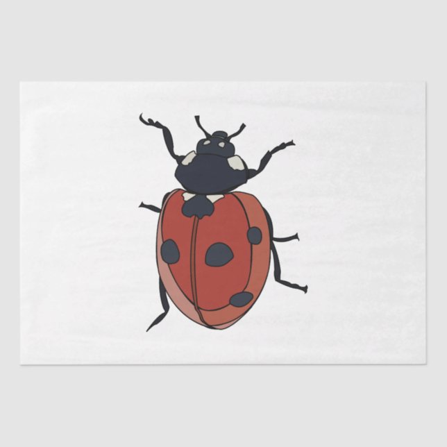 Papier Mousseline Beetles Insectes Ladybug Beetles (Recto)