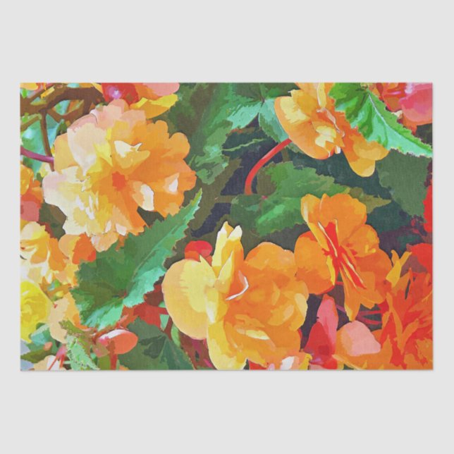 PAPIER MOUSSELINE BEGONIAS (Recto)