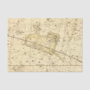 Papier Mousseline Bélier, Musca Borealis