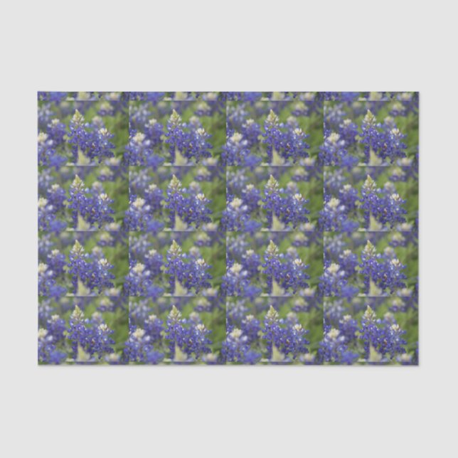 Papier Mousseline Belle fleur d'état bleue du Texas de Bluebonnet de (Recto)