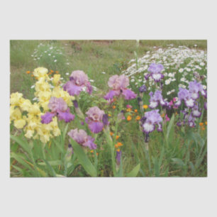 Papier Mousseline Belle Iris Fleur violet Fleur Photo
