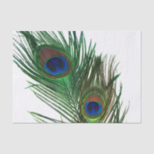 Papier Mousseline Belle plume blanche de paon