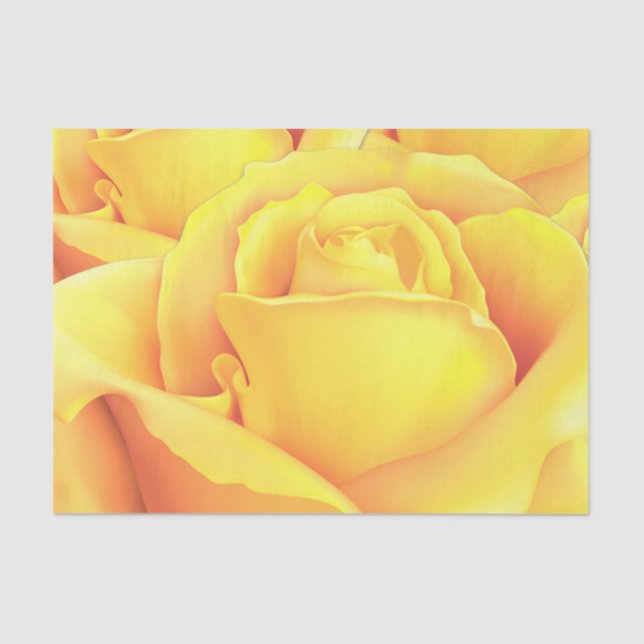 Papier Mousseline Belle Rose Jaune (Recto)