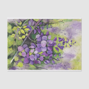 Papier Mousseline Belles Fleurs De Wisteria En Aquarelle