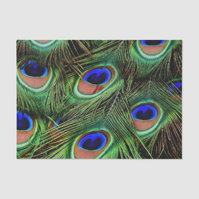 Papier Mousseline Belles plumes de paon (Recto)