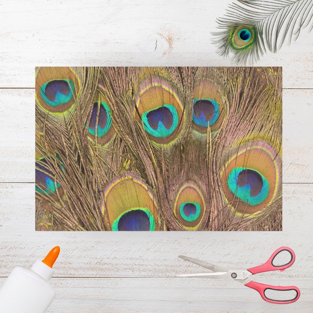 Papier Mousseline Belles plumes de paon Brown (Créateur téléchargé)