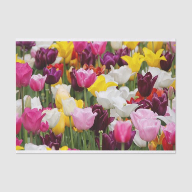 Papier Mousseline Belles tulipes (Recto)