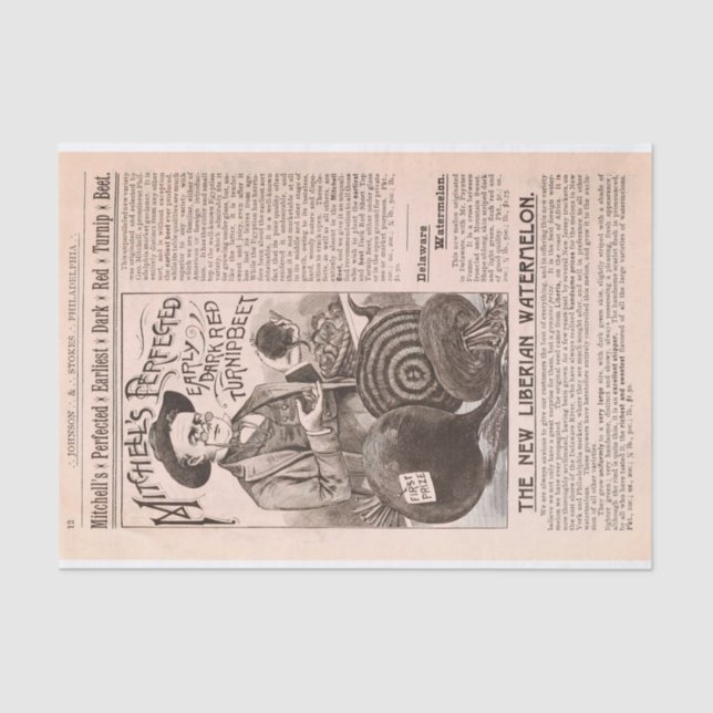 Papier Mousseline Betteraves de catalogue de ferme et papier (Recto)