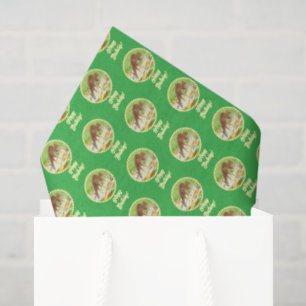Papier Mousseline Biche et Faon Vert