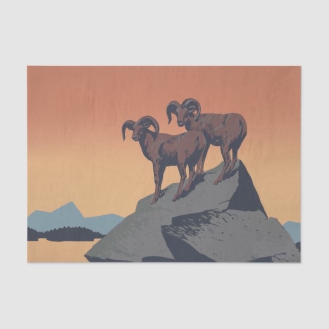 Papier Mousseline Bighorn Sheep American West Wildlife (Recto)
