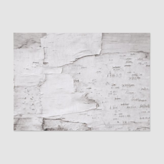 Papier Mousseline Birch Bark Tree White Rustic Country Woodland (Recto)