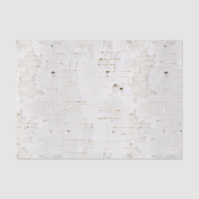 Papier Mousseline Birchbark (Recto)