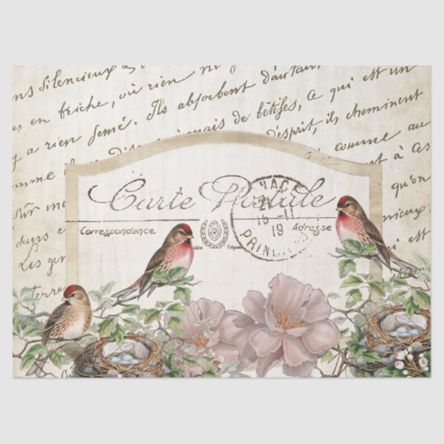 Papier Mousseline Bird Nest Gold Floral Carte Postale Script Françai (Recto)