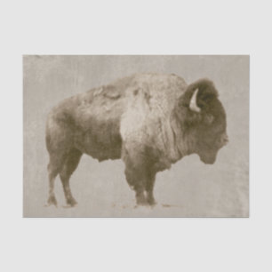 Papier Mousseline Bison américain