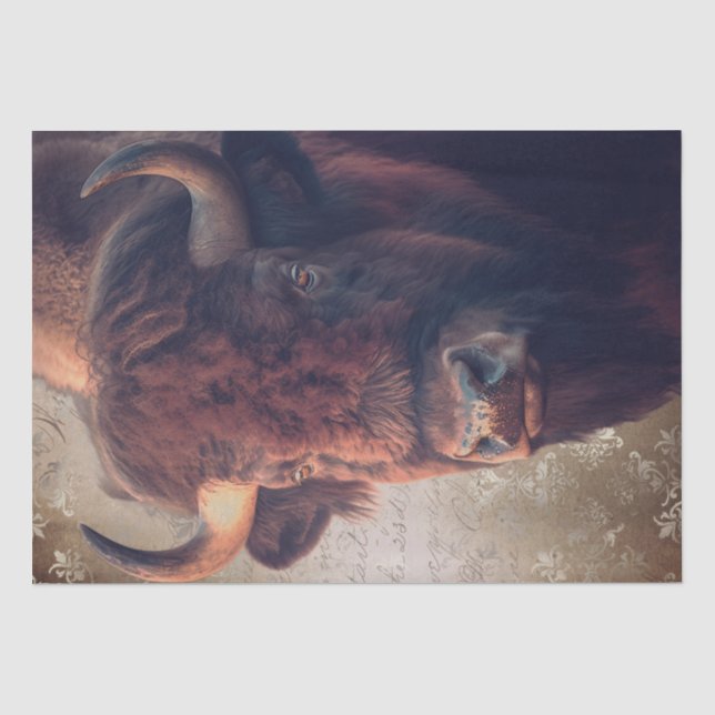 Papier Mousseline Bison Amérindien Buffalo (Recto)